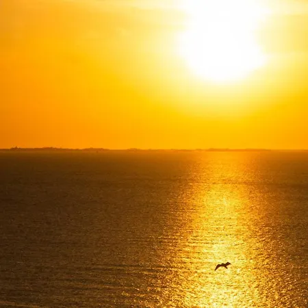 Cocooning Vue Mer, Appart A 300 M De La Plage.