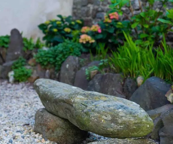 Cocooning Vue Mer, Appart A 300 M De La Plage. Lejlighed *